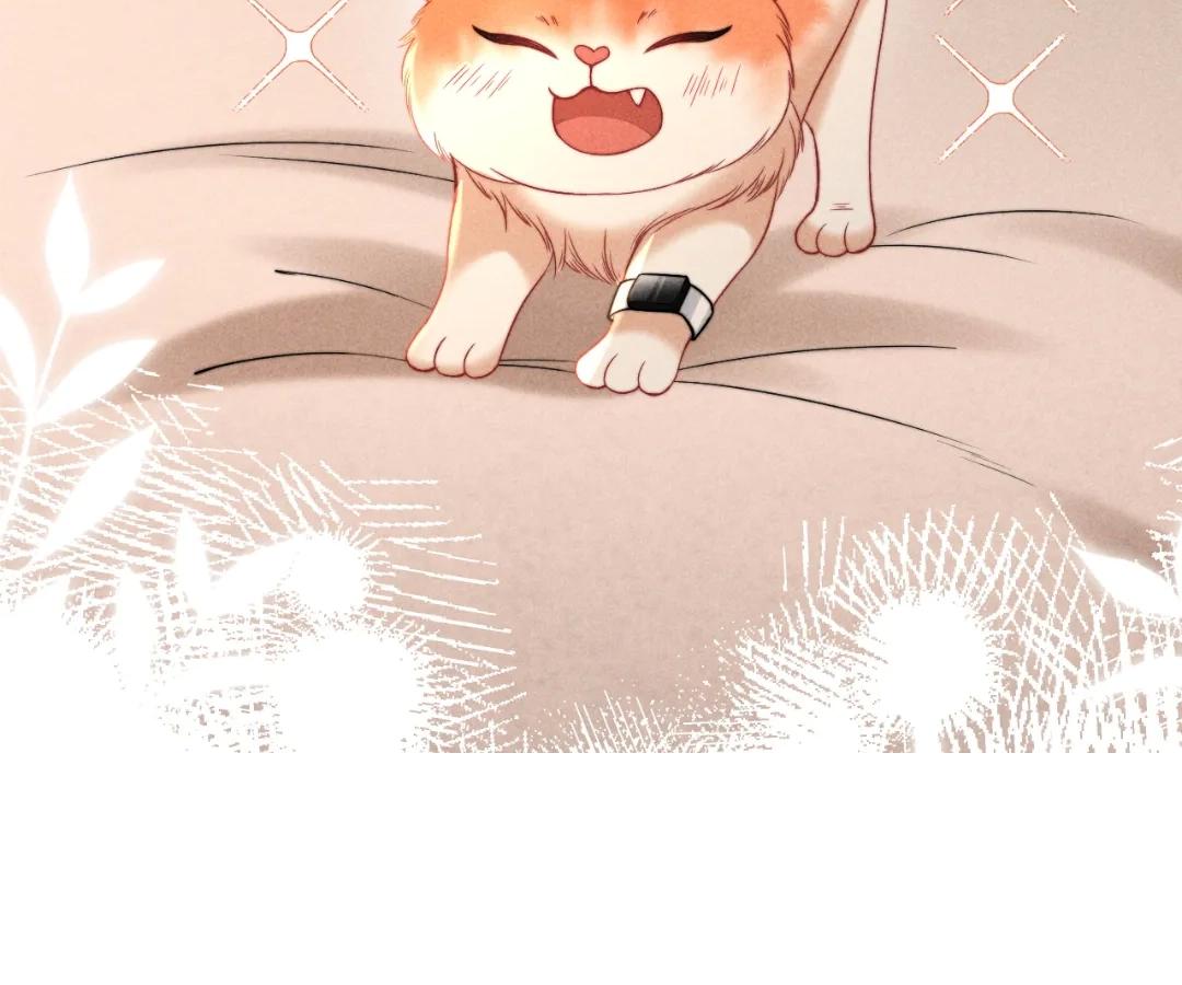 Toxic Adoration [Official] - Chapter 40 manhwa
