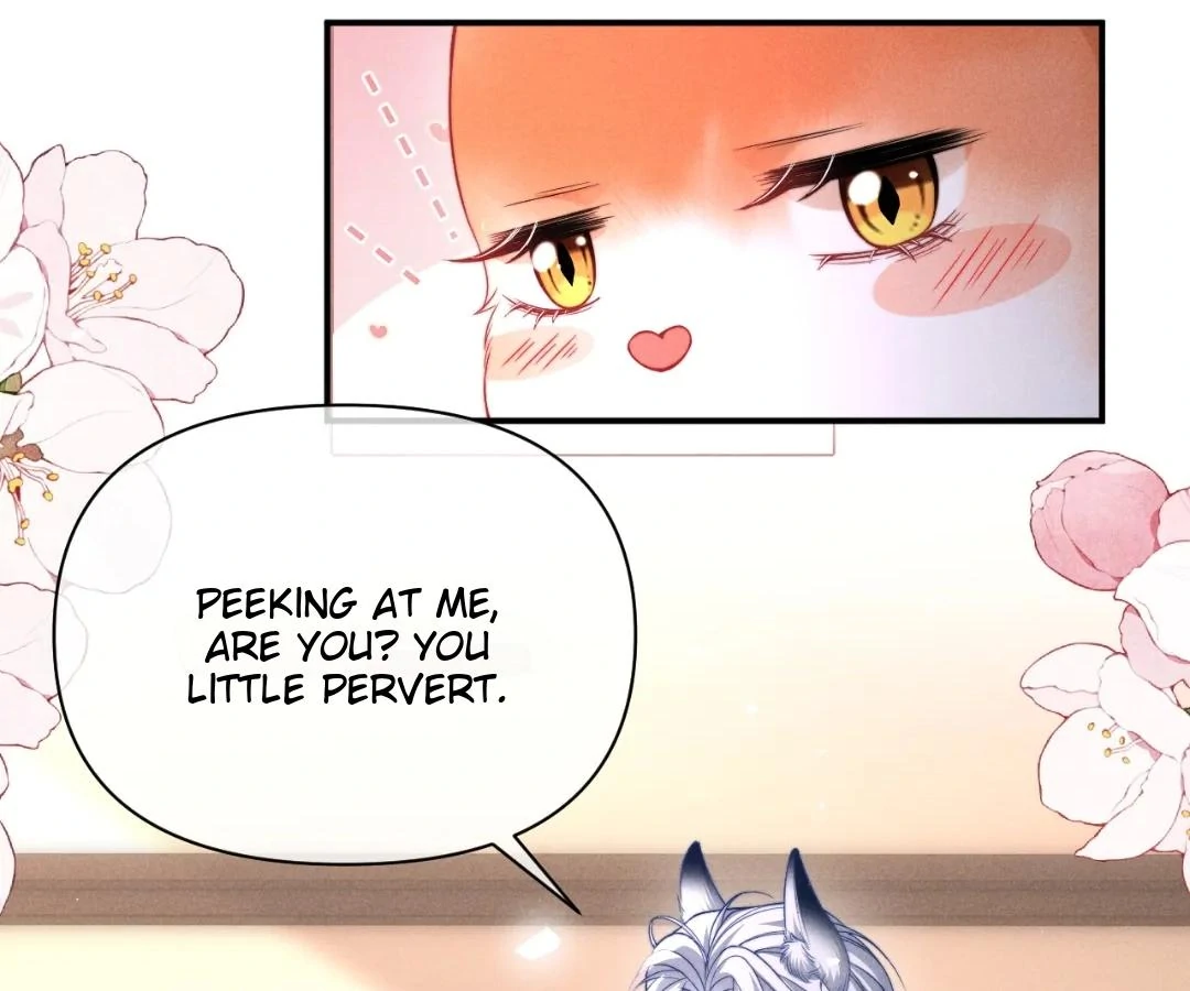 Toxic Adoration [Official] - Chapter 40 manhwa