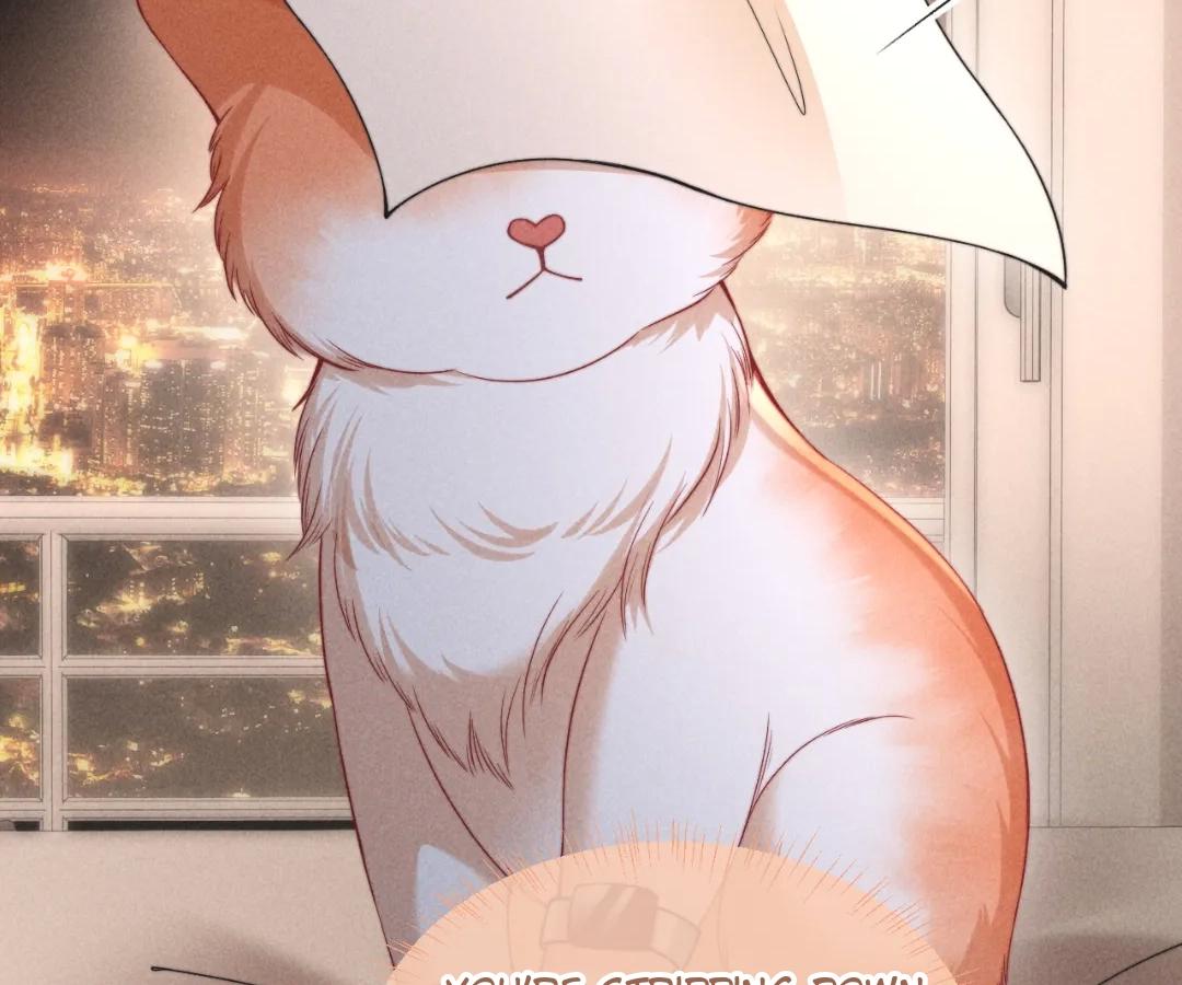 Toxic Adoration [Official] - Chapter 40 manhwa