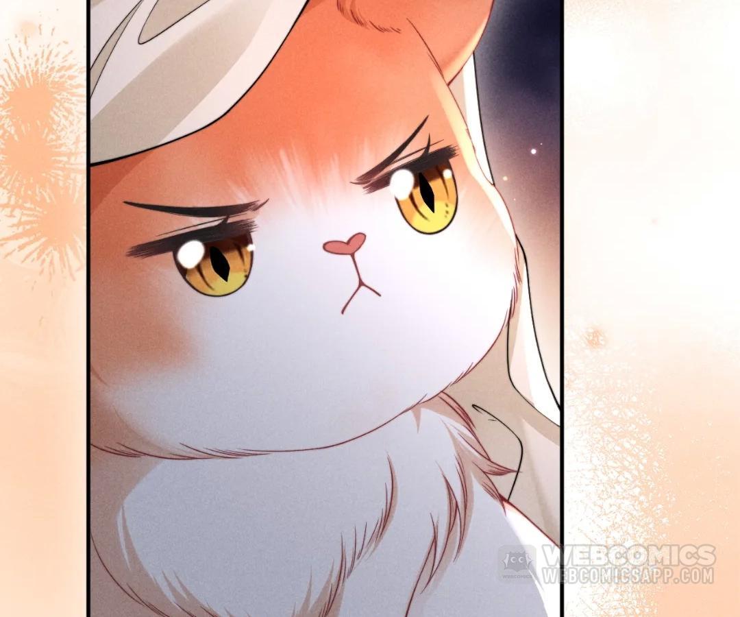 Toxic Adoration [Official] - Chapter 40 manhwa