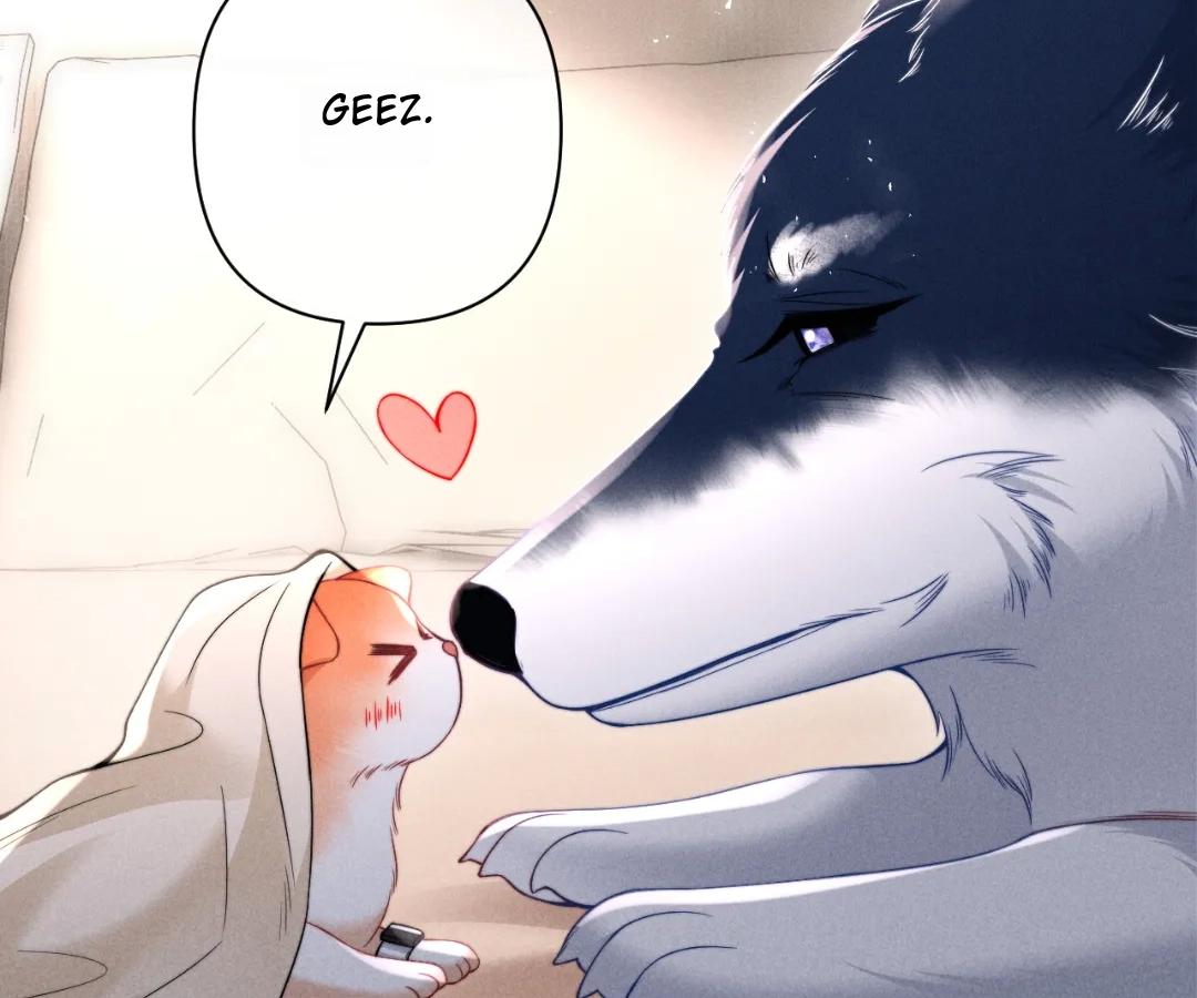 Toxic Adoration [Official] - Chapter 40 manhwa