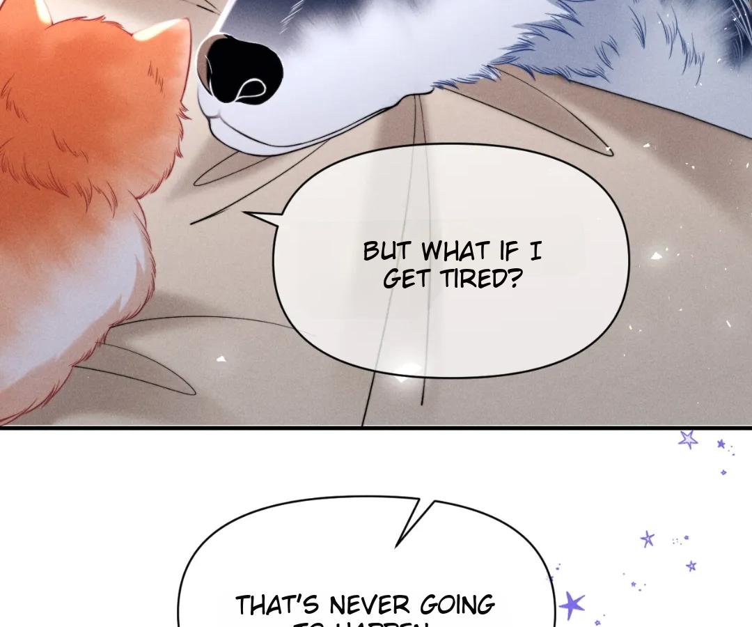 Toxic Adoration [Official] - Chapter 41 manhwa