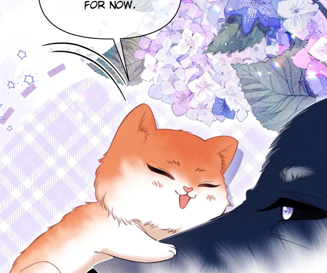 Toxic Adoration [Official] - Chapter 41 manhwa