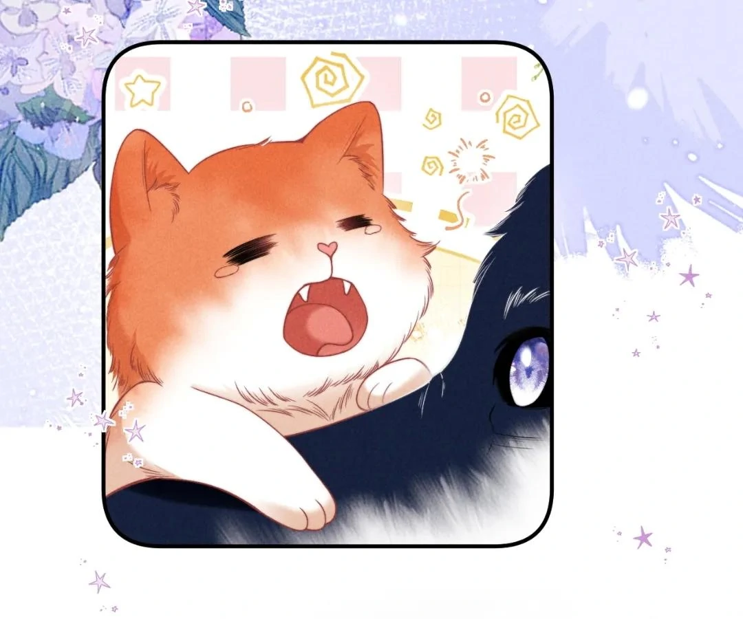Toxic Adoration [Official] - Chapter 41 manhwa