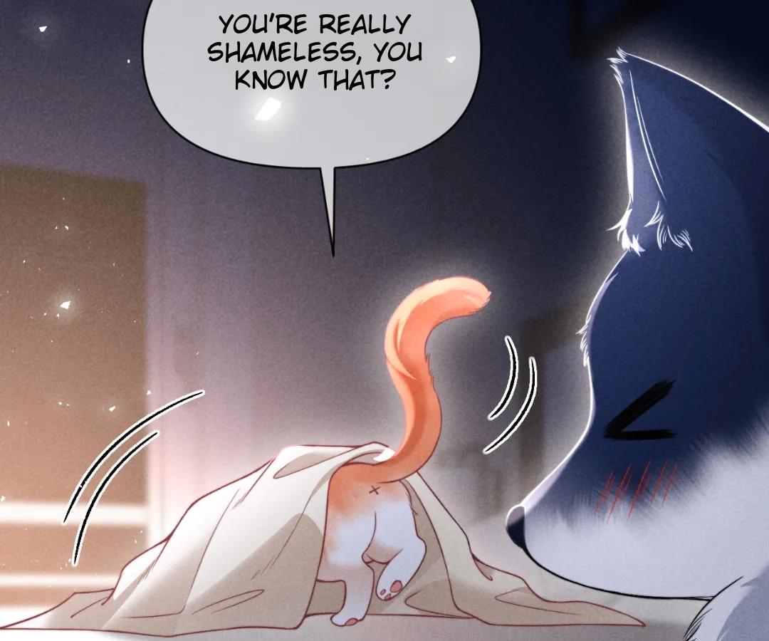 Toxic Adoration [Official] - Chapter 41 manhwa