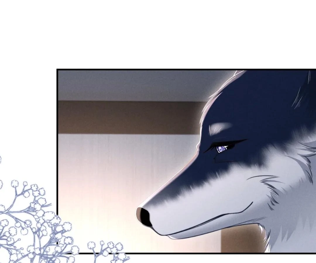 Toxic Adoration [Official] - Chapter 41 manhwa