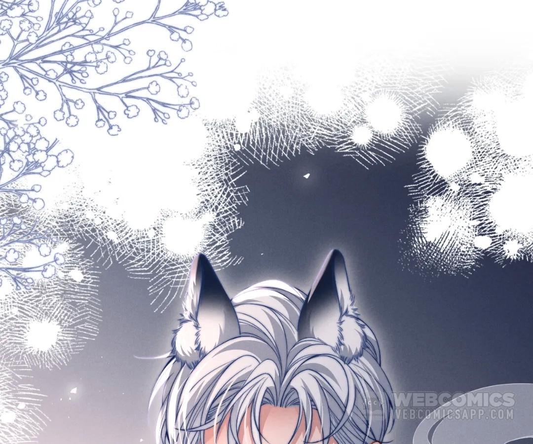 Toxic Adoration [Official] - Chapter 41 manhwa