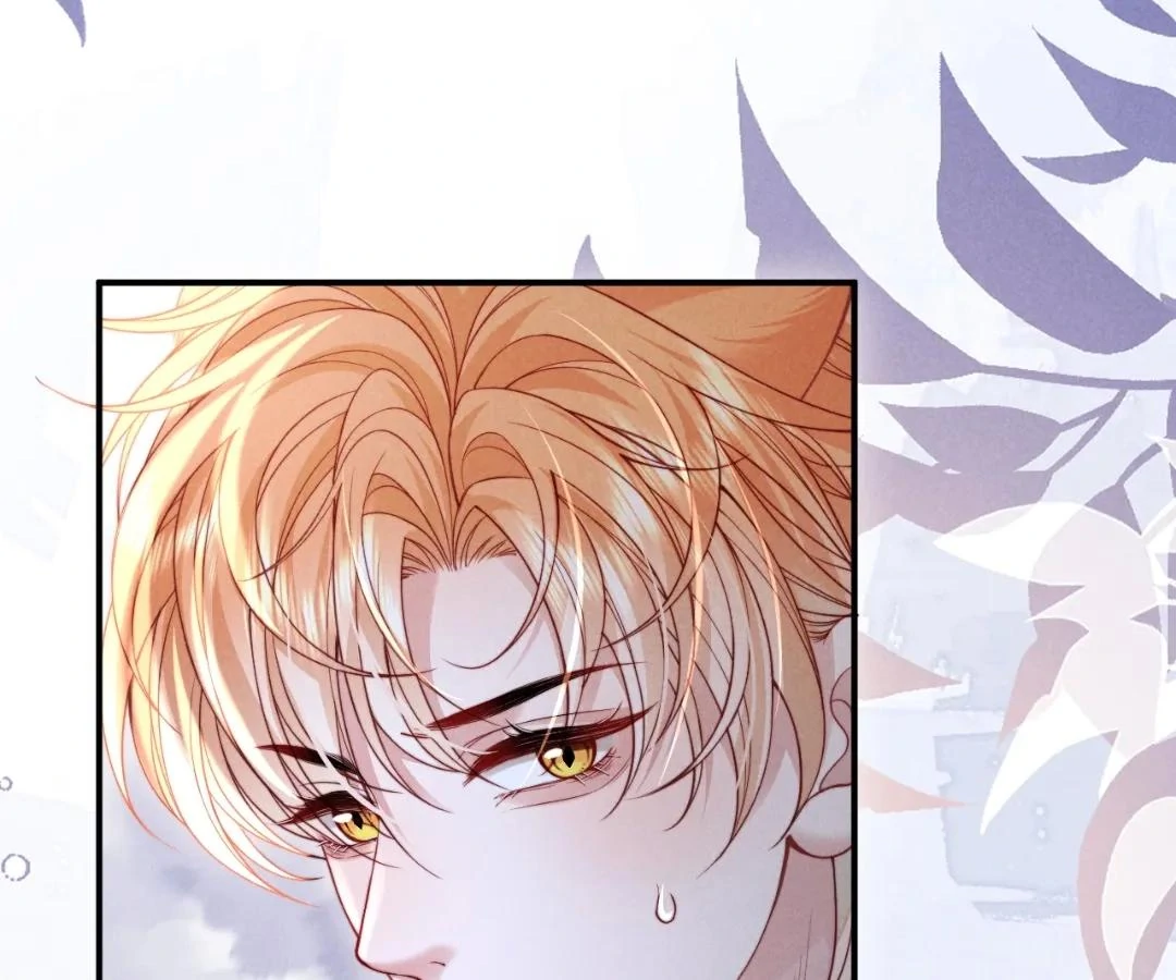 Toxic Adoration [Official] - Chapter 41 manhwa