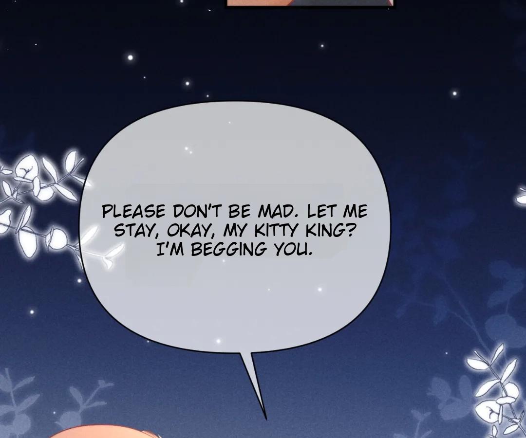 Toxic Adoration [Official] - Chapter 41 manhwa