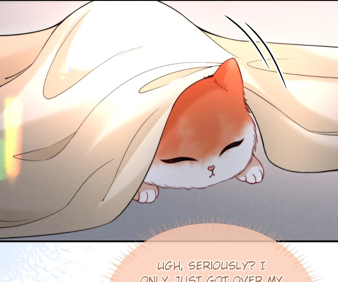 Toxic Adoration [Official] - Chapter 42 manhwa