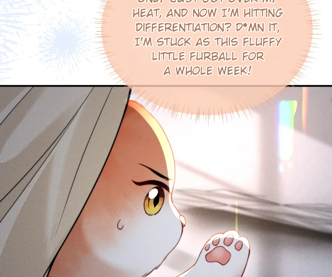 Toxic Adoration [Official] - Chapter 42 manhwa
