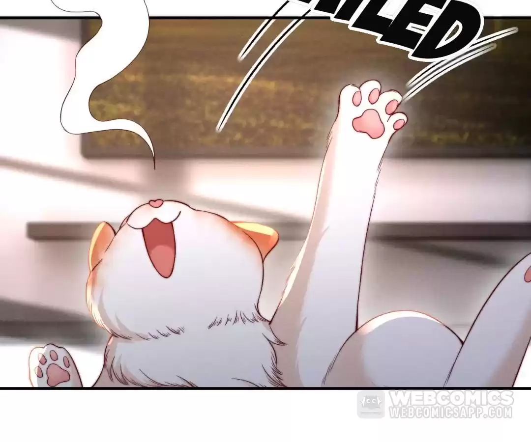 Toxic Adoration [Official] - Chapter 42 manhwa