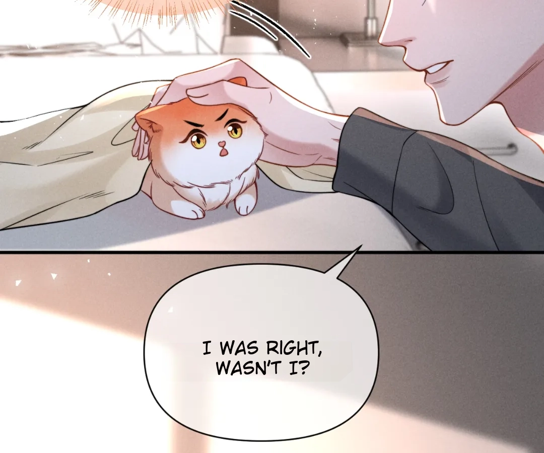 Toxic Adoration [Official] - Chapter 42 manhwa