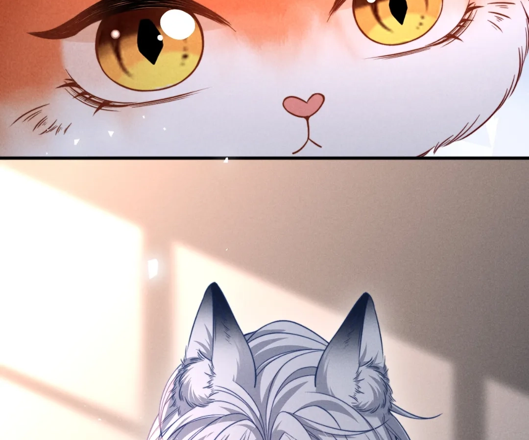 Toxic Adoration [Official] - Chapter 42 manhwa