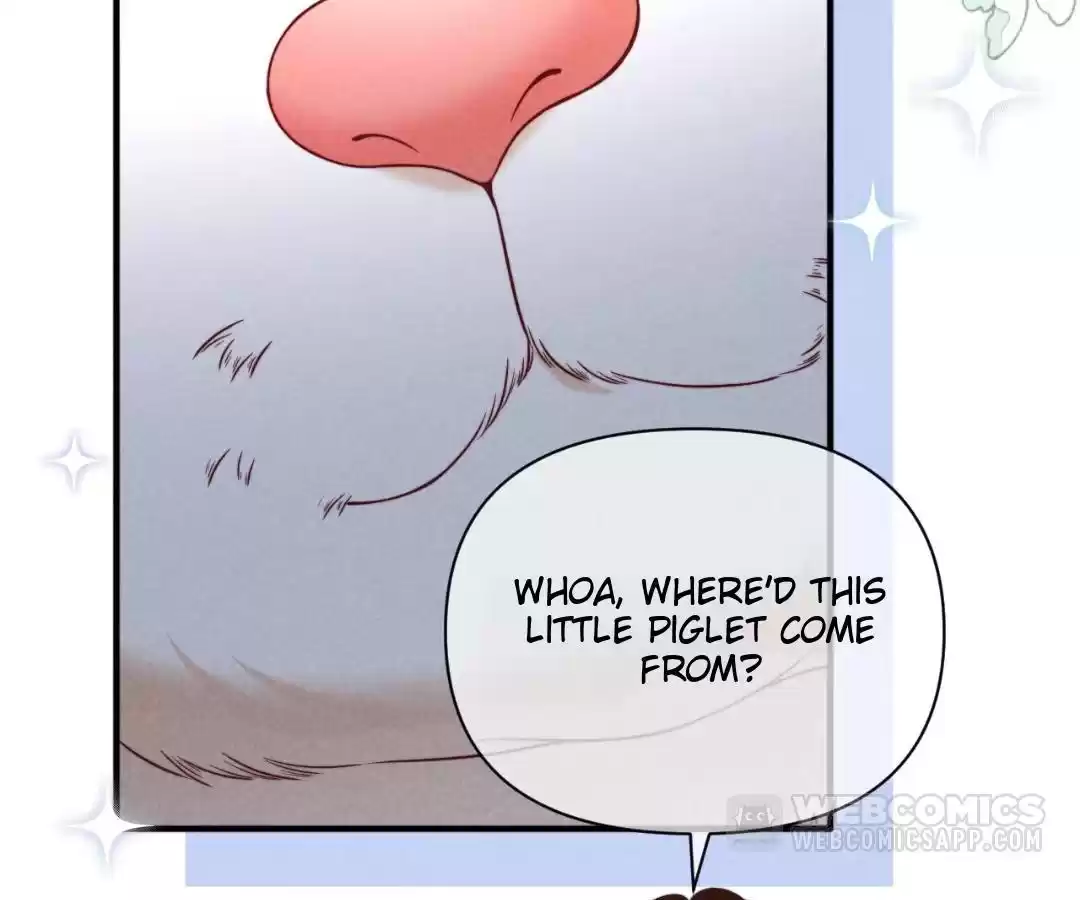 Toxic Adoration [Official] - Chapter 42 manhwa