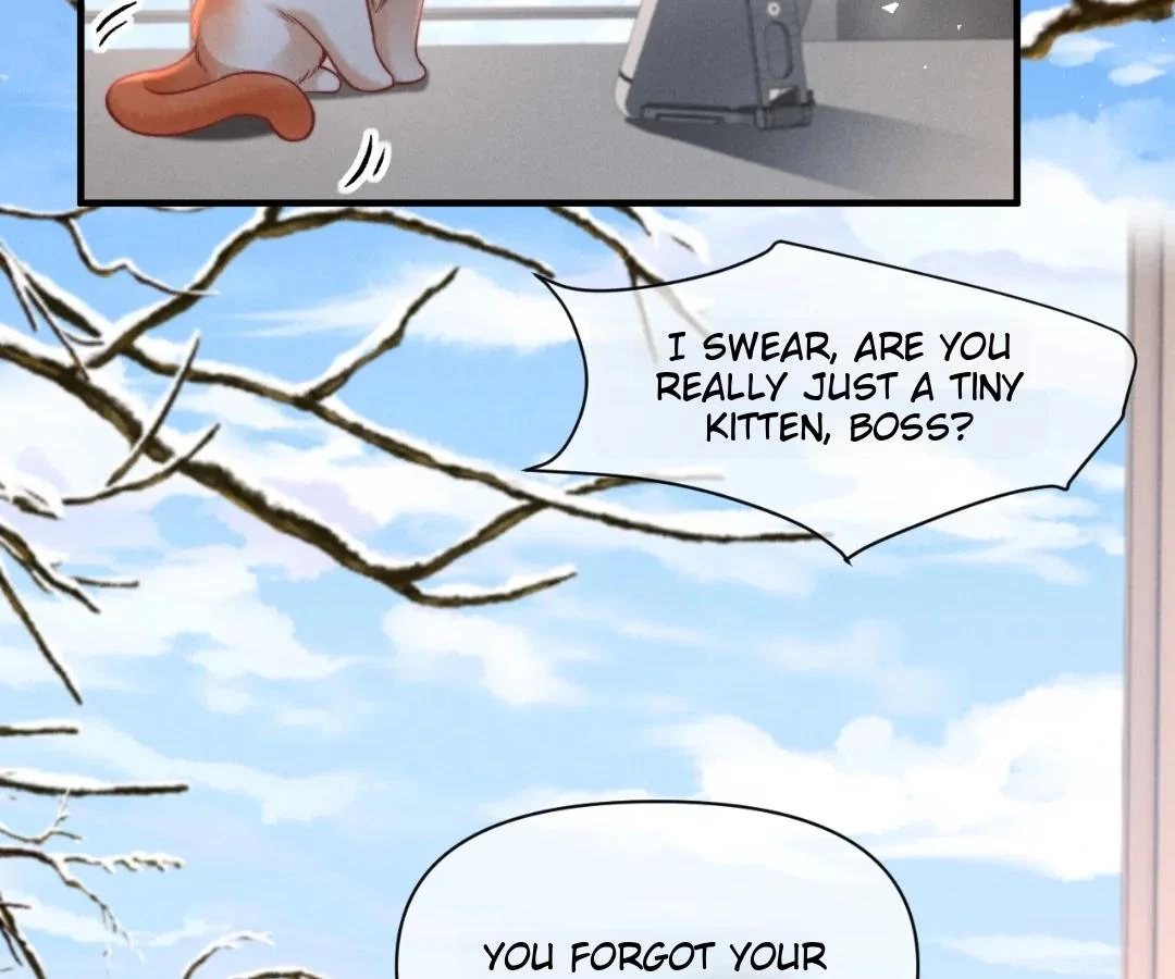Toxic Adoration [Official] - Chapter 43 manhwa