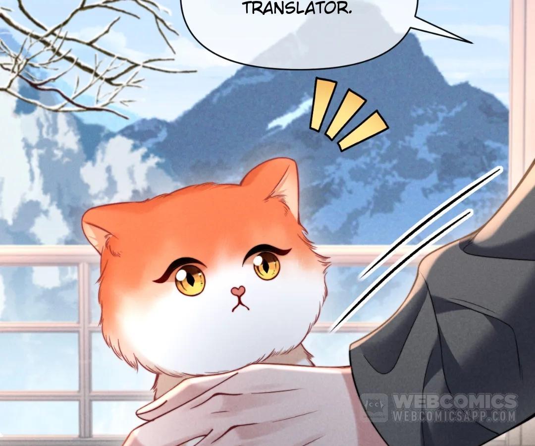 Toxic Adoration [Official] - Chapter 43 manhwa
