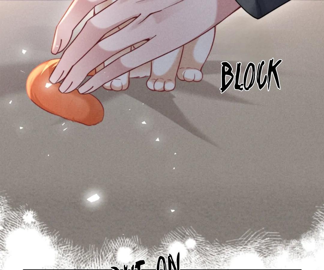 Toxic Adoration [Official] - Chapter 43 manhwa