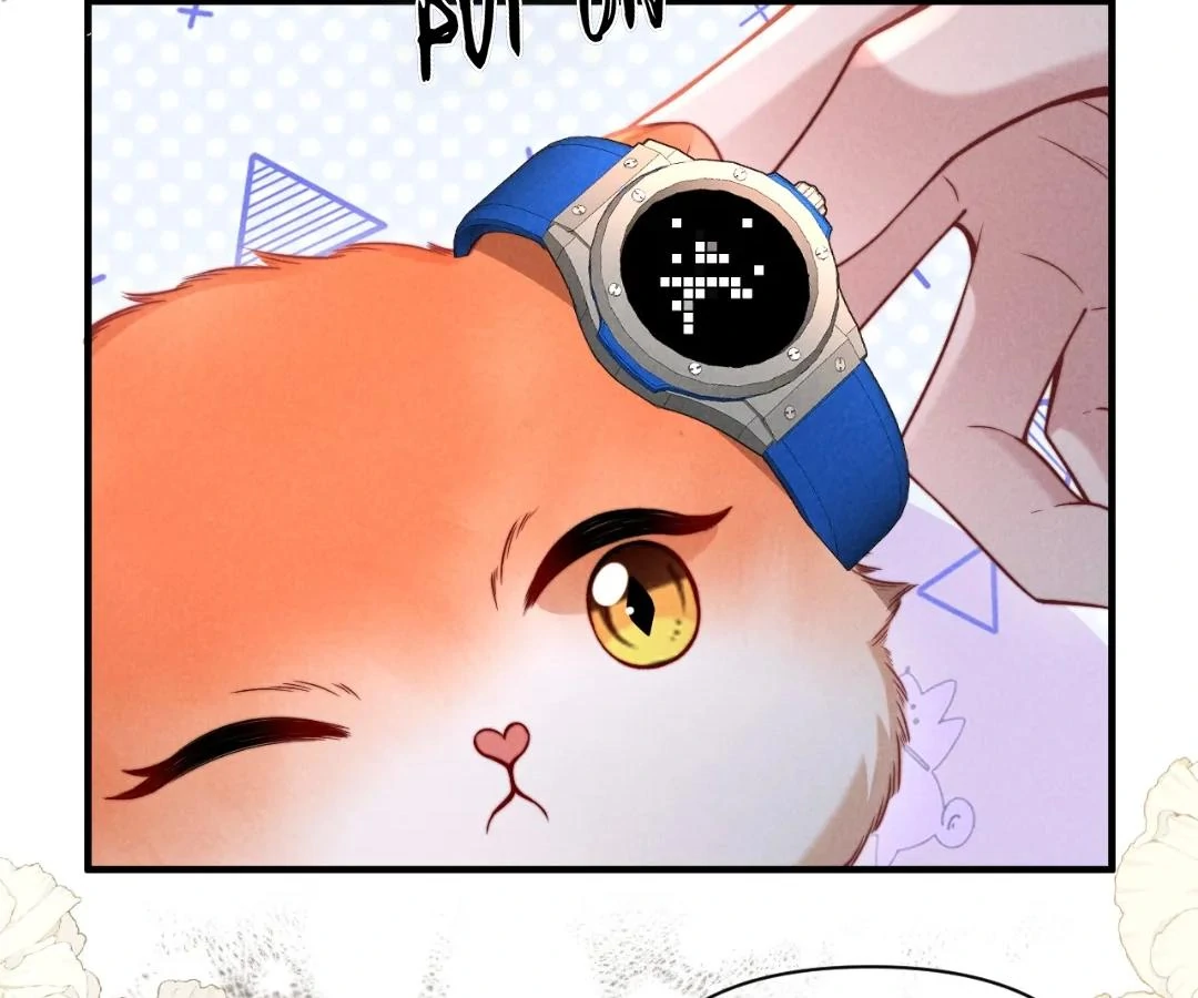 Toxic Adoration [Official] - Chapter 43 manhwa