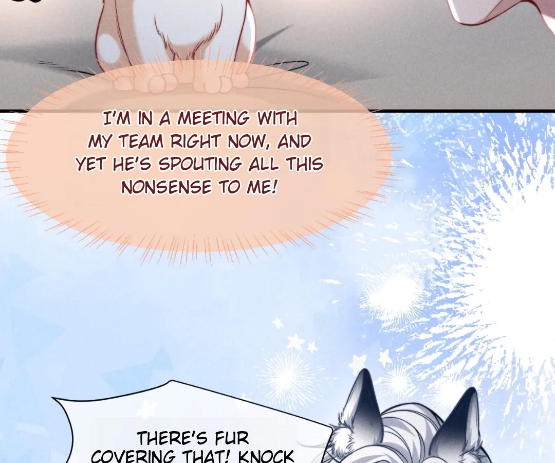 Toxic Adoration [Official] - Chapter 43 manhwa