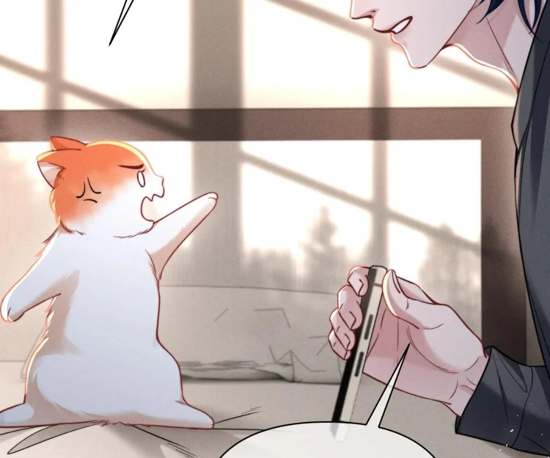 Toxic Adoration [Official] - Chapter 43 manhwa