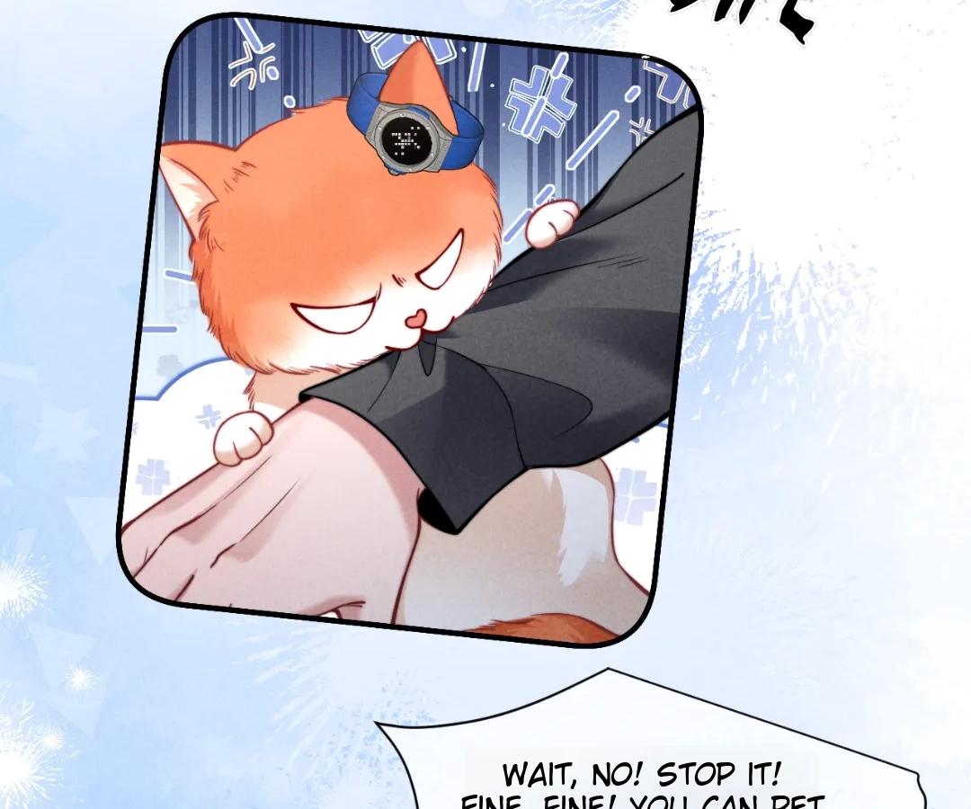 Toxic Adoration [Official] - Chapter 43 manhwa