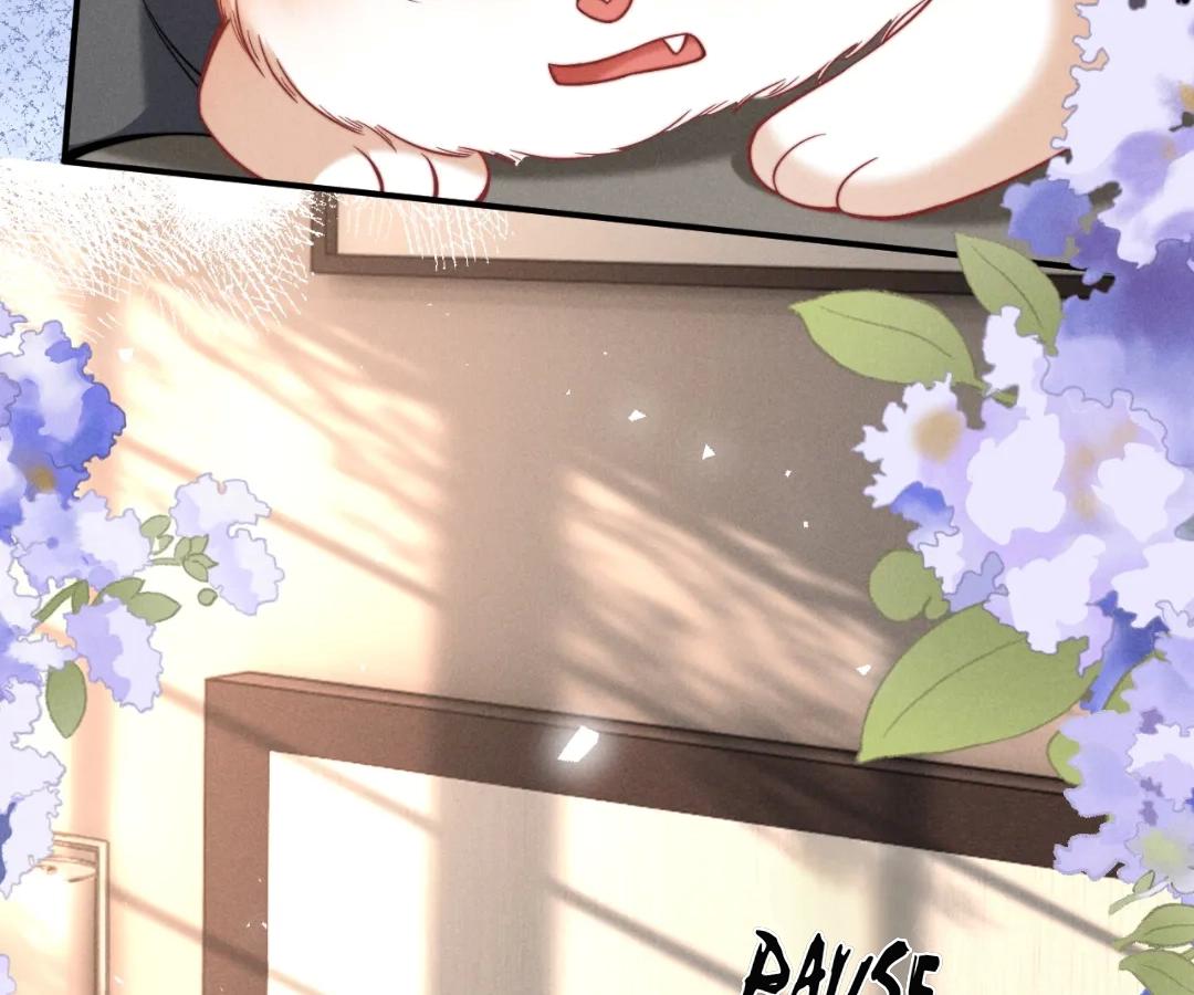Toxic Adoration [Official] - Chapter 43 manhwa