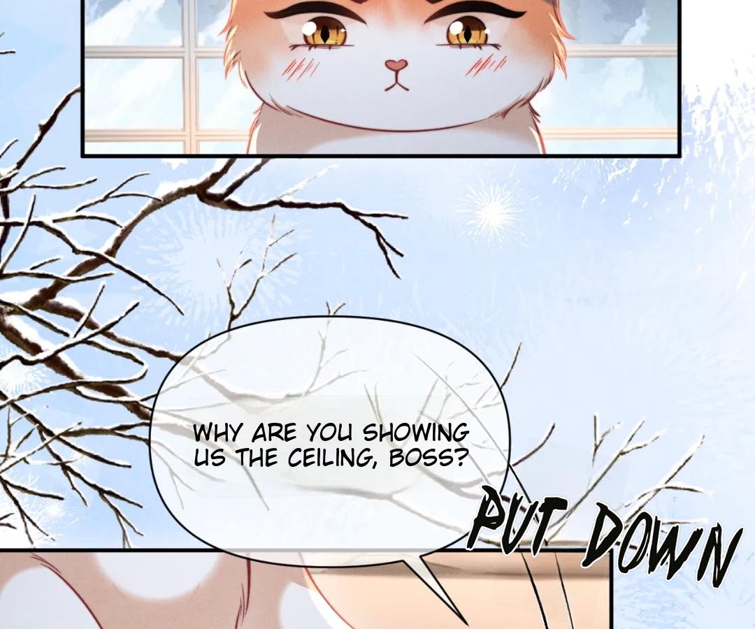 Toxic Adoration [Official] - Chapter 43 manhwa