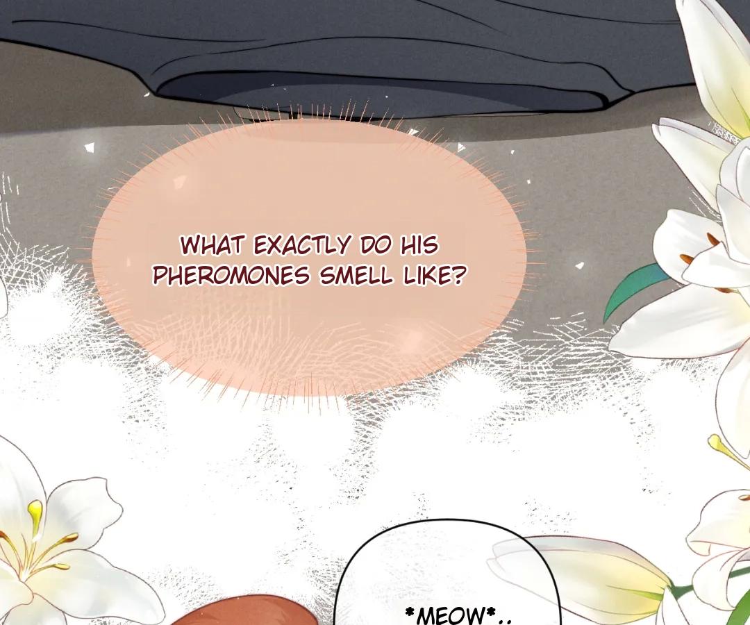 Toxic Adoration [Official] - Chapter 43 manhwa