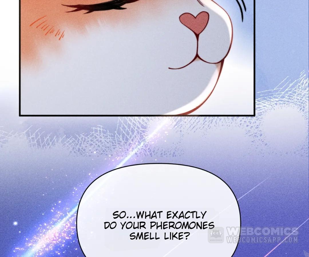 Toxic Adoration [Official] - Chapter 43 manhwa