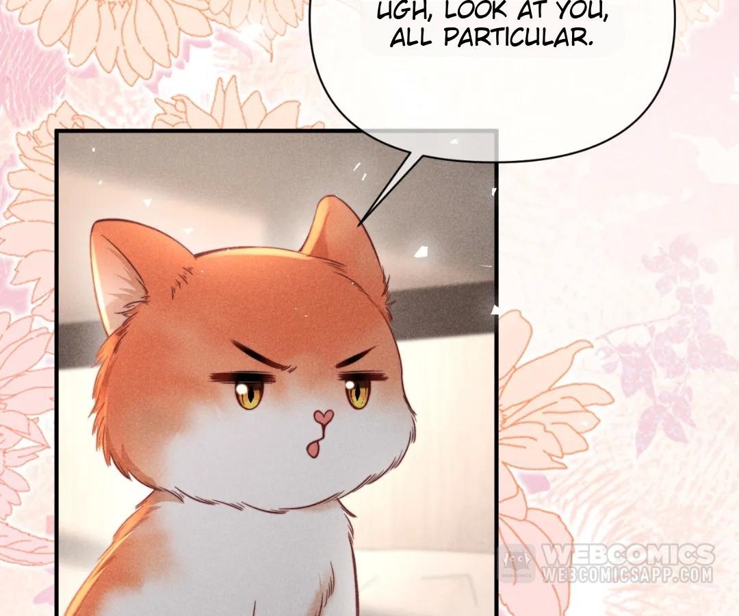 Toxic Adoration [Official] - Chapter 44 manhwa