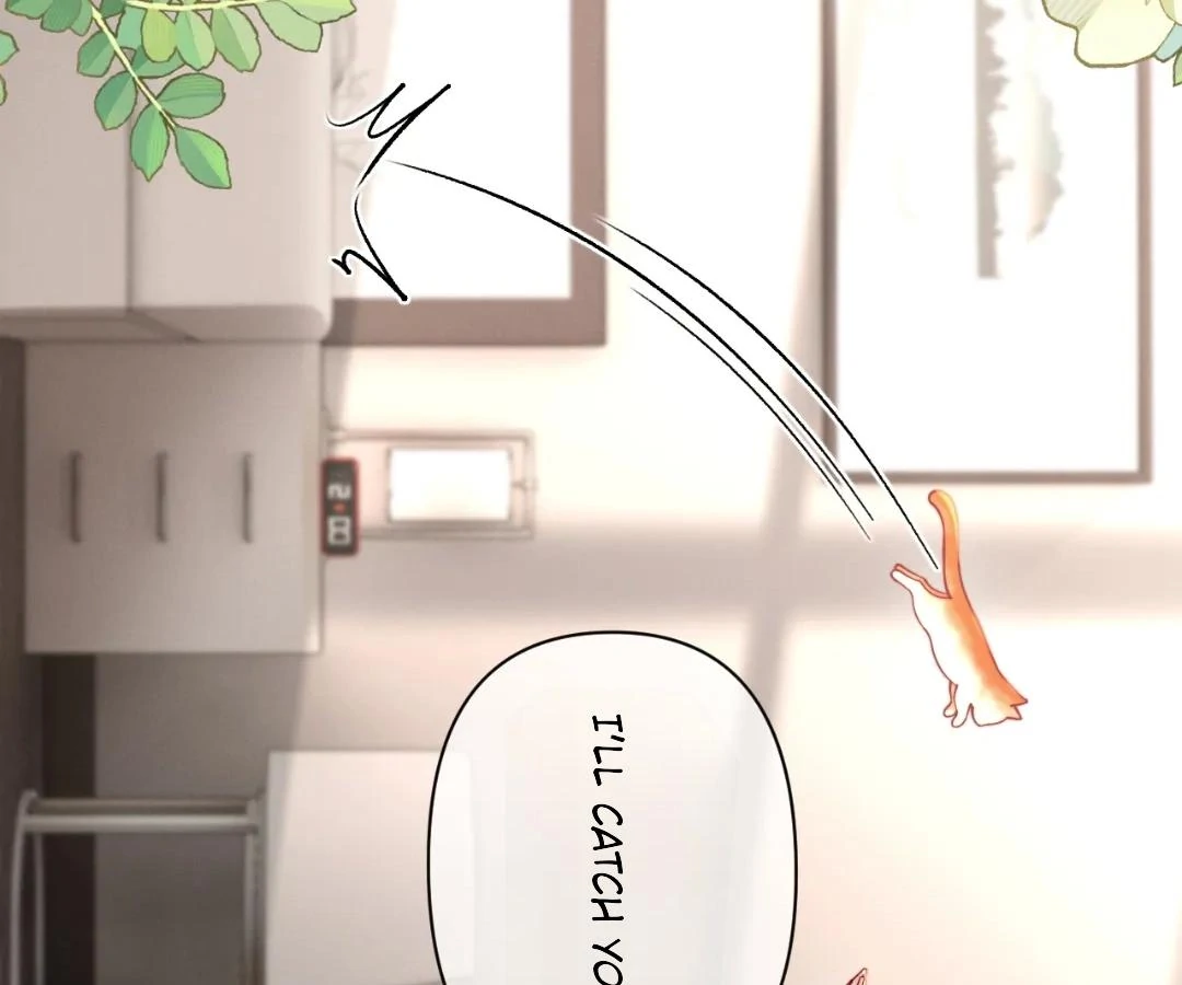 Toxic Adoration [Official] - Chapter 44 manhwa