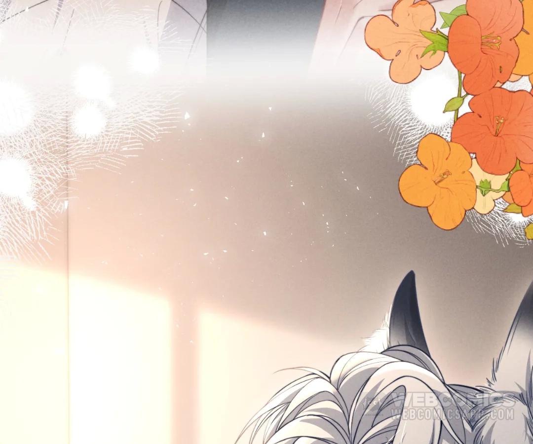 Toxic Adoration [Official] - Chapter 44 manhwa