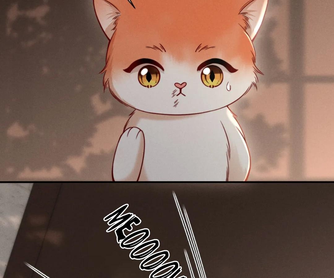 Toxic Adoration [Official] - Chapter 44 manhwa