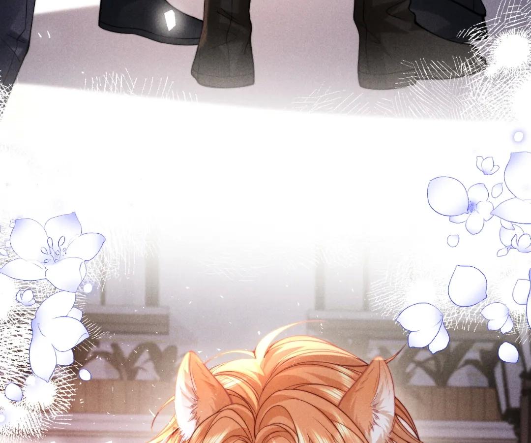 Toxic Adoration [Official] - Chapter 46 manhwa