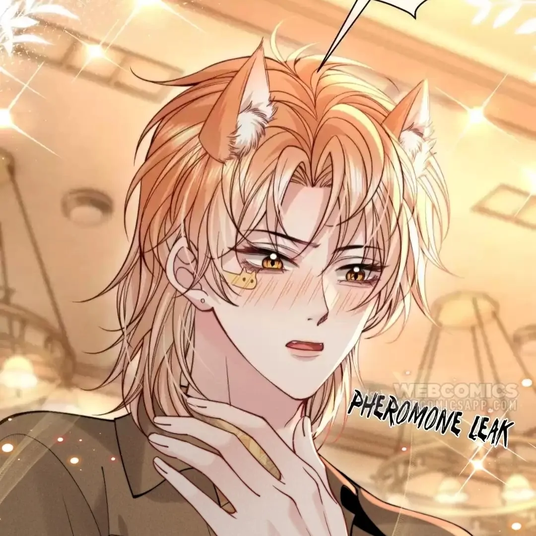 Toxic Adoration [Official] - Chapter 47 manhwa