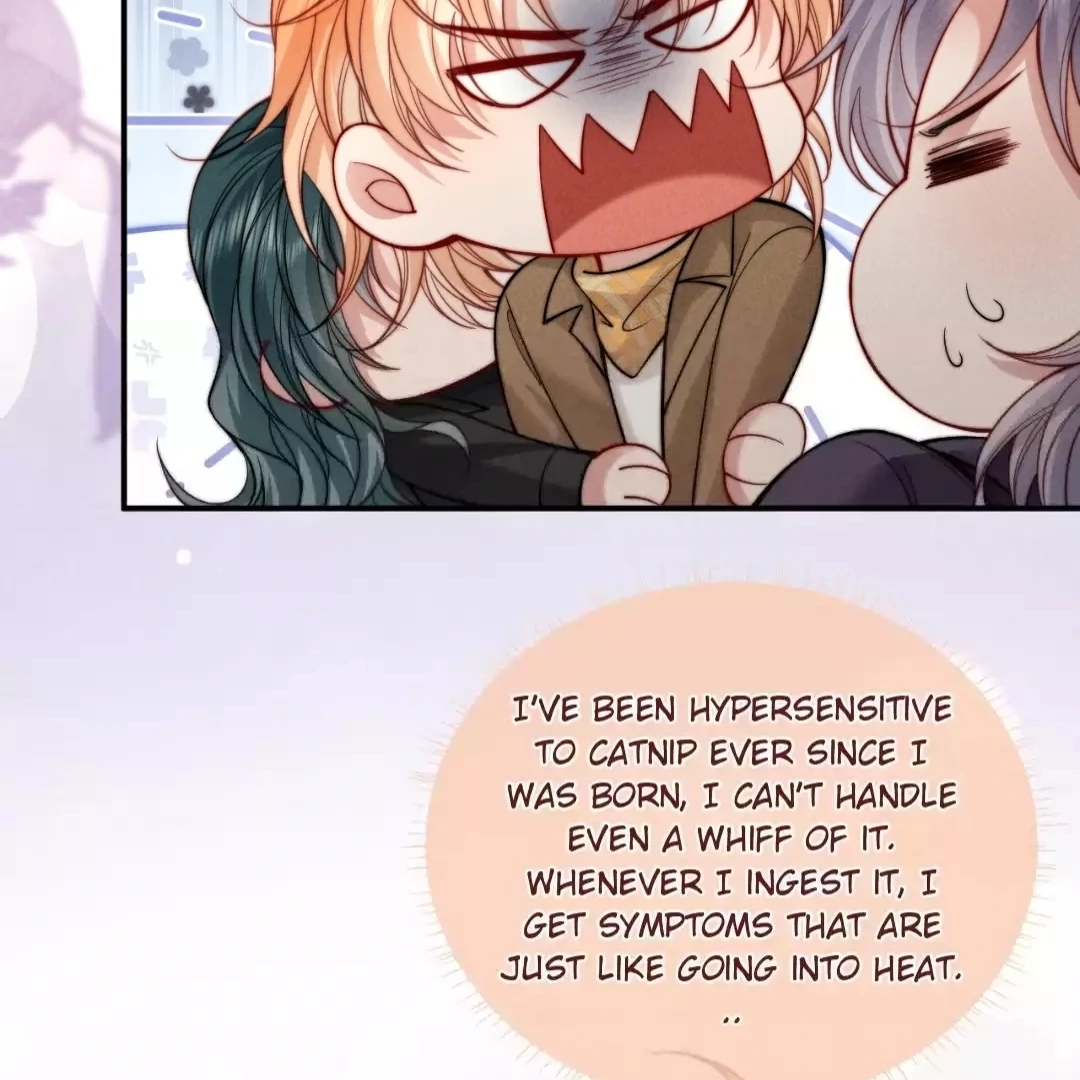 Toxic Adoration [Official] - Chapter 47 manhwa