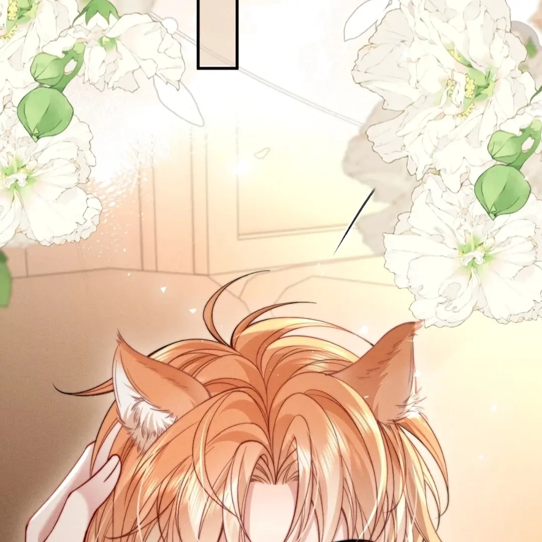 Toxic Adoration [Official] - Chapter 47 manhwa