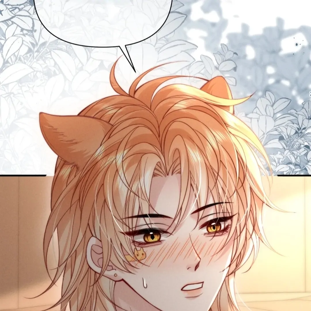 Toxic Adoration [Official] - Chapter 47 manhwa