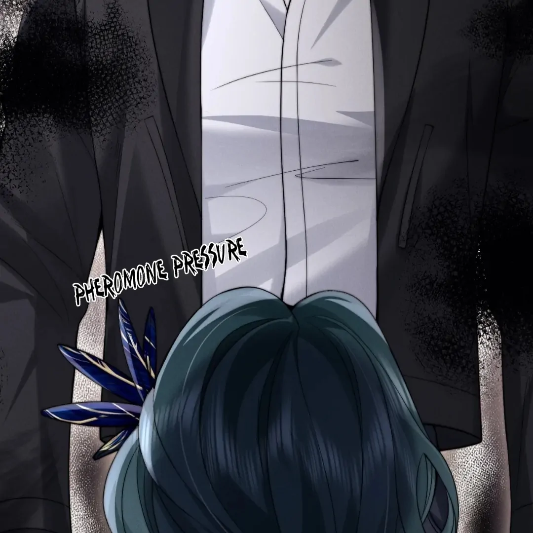 Toxic Adoration [Official] - Chapter 47 manhwa