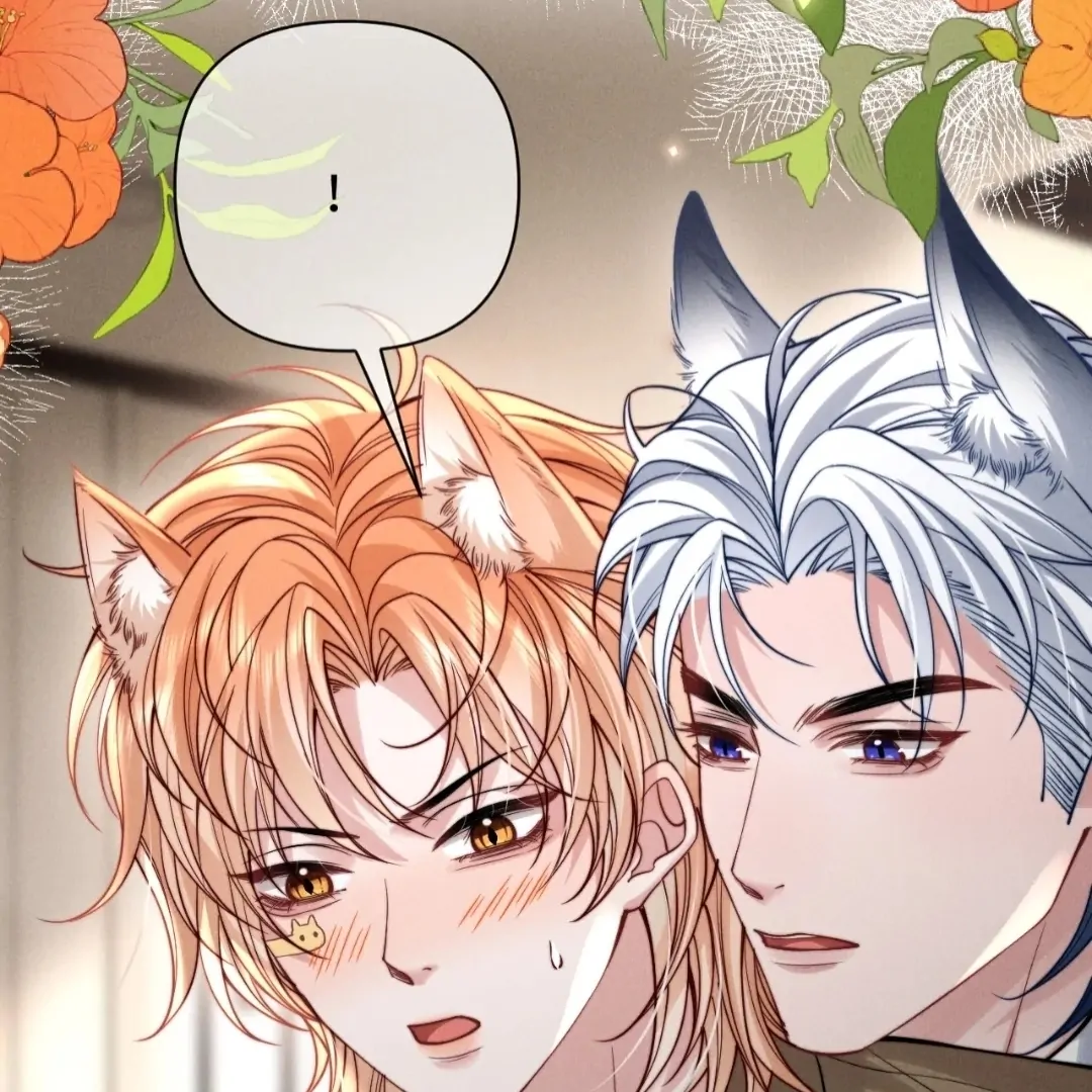 Toxic Adoration [Official] - Chapter 48 manhwa