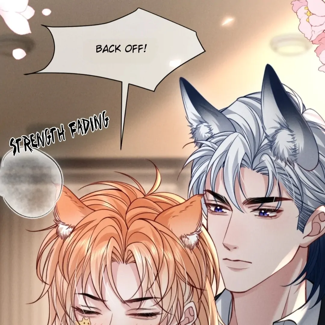 Toxic Adoration [Official] - Chapter 48 manhwa