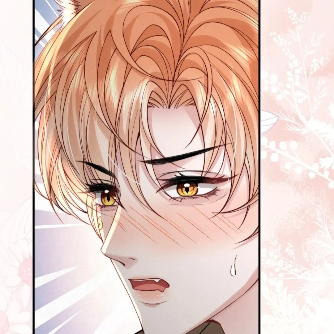 Toxic Adoration [Official] - Chapter 48 manhwa