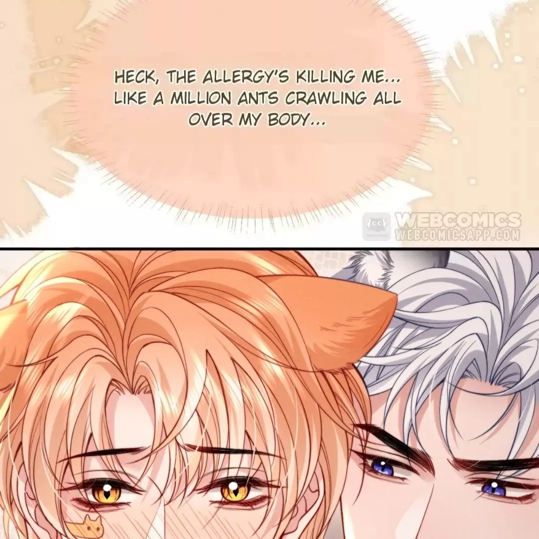 Toxic Adoration [Official] - Chapter 49 manhwa