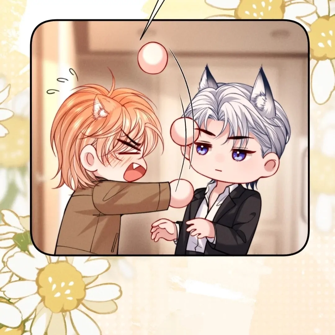 Toxic Adoration [Official] - Chapter 49 manhwa