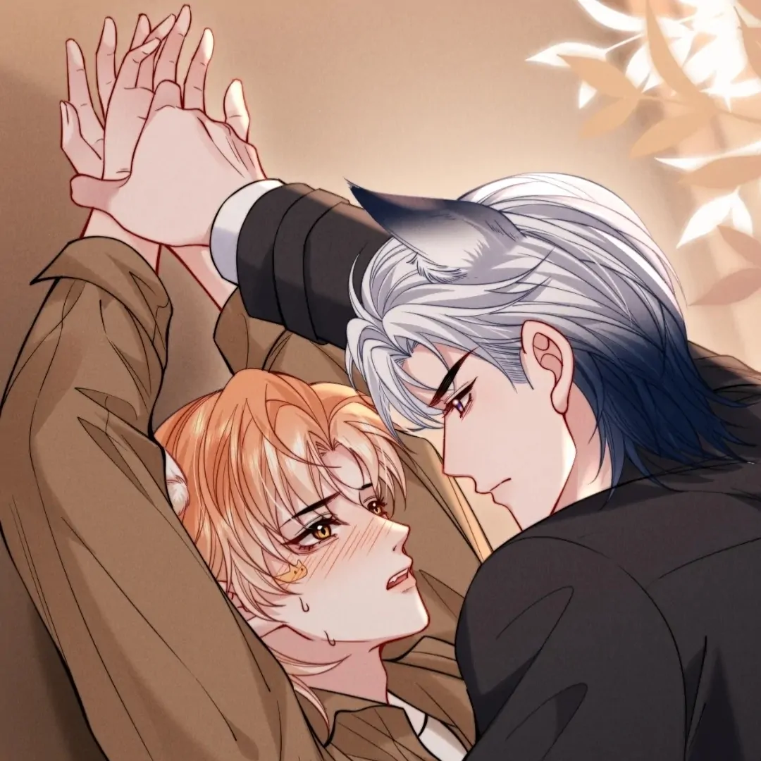 Toxic Adoration [Official] - Chapter 49 manhwa
