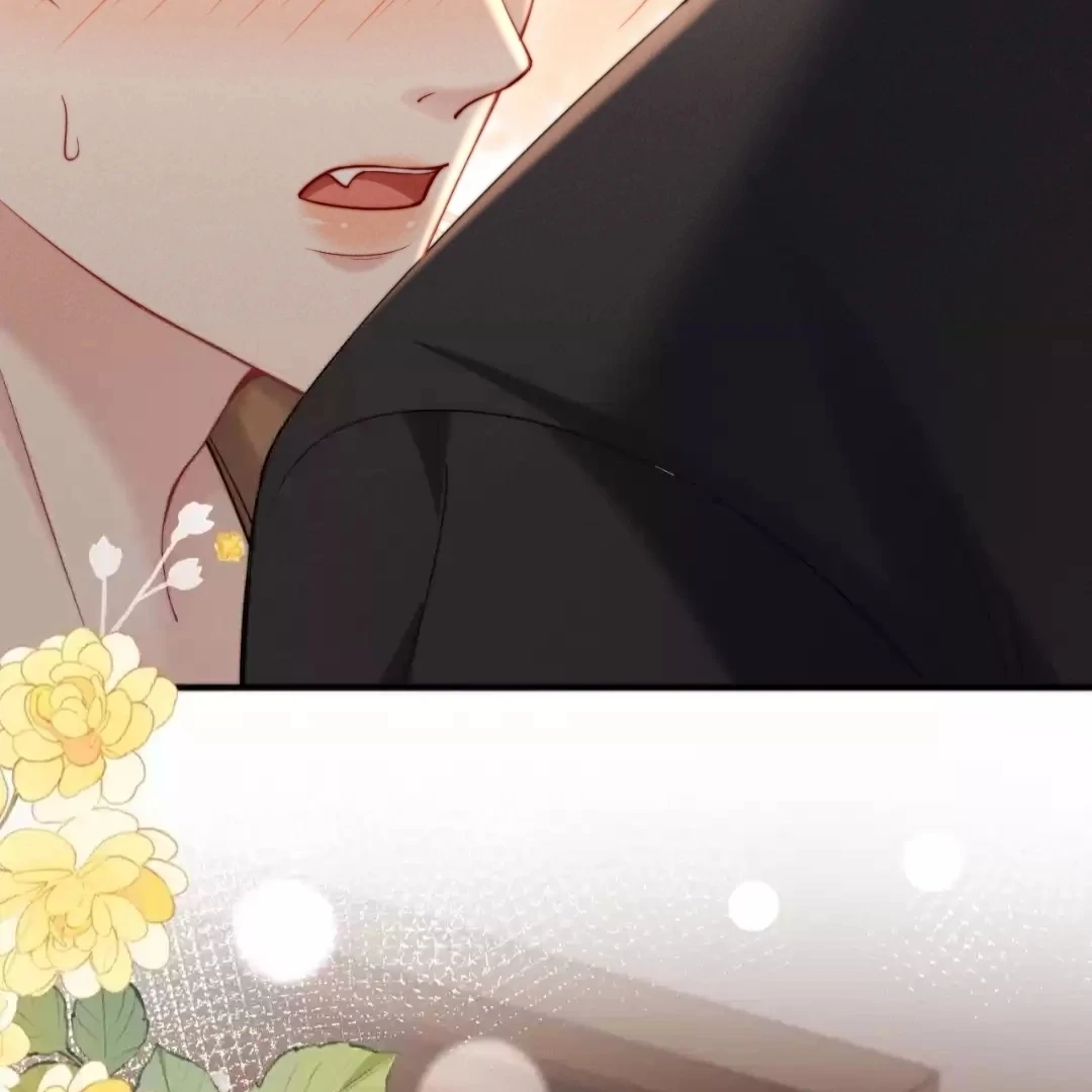 Toxic Adoration [Official] - Chapter 49 manhwa