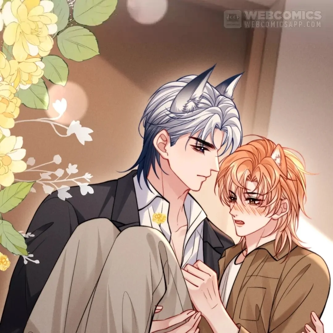 Toxic Adoration [Official] - Chapter 49 manhwa