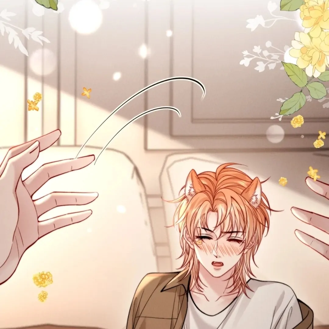 Toxic Adoration [Official] - Chapter 49 manhwa