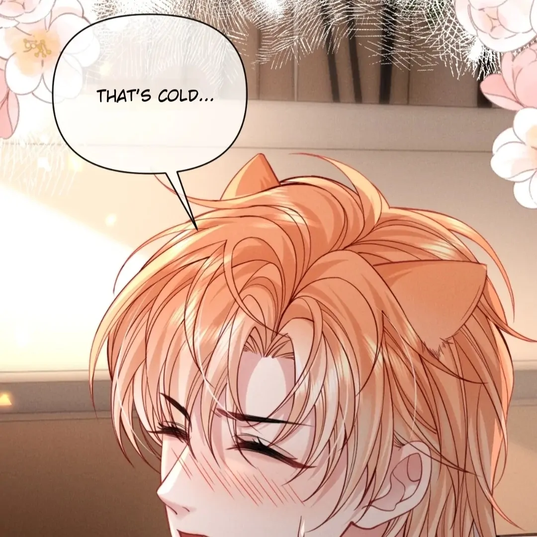 Toxic Adoration [Official] - Chapter 49 manhwa